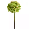 Green Hydrangea Bloom Stems, Set of 3
