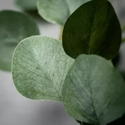 Green Leafy Eucalyptus Garland