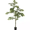 Green Nandina Potted Tree, 4 ft.