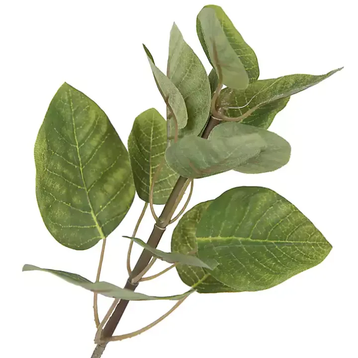 Green Potted Cotinus Coggygria Tree, 4 ft.