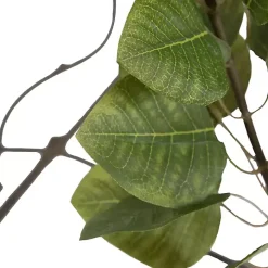 Green Potted Cotinus Coggygria Tree, 4 ft.