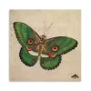 Green Vintage Butterfly Canvas Art Print