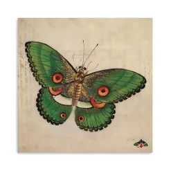 Green Vintage Butterfly Canvas Art Print