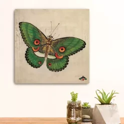 Green Vintage Butterfly Canvas Art Print