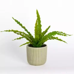 Greenery Plant in Ribbed Ceramic Pot
