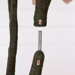 Harvest Dogwood Tree in Nursery Planter, 6 ft.