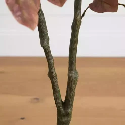 Harvest Dogwood Tree in Nursery Planter, 3.5 ft.