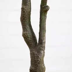 Harvest Dogwood Tree in Nursery Planter, 6 ft.