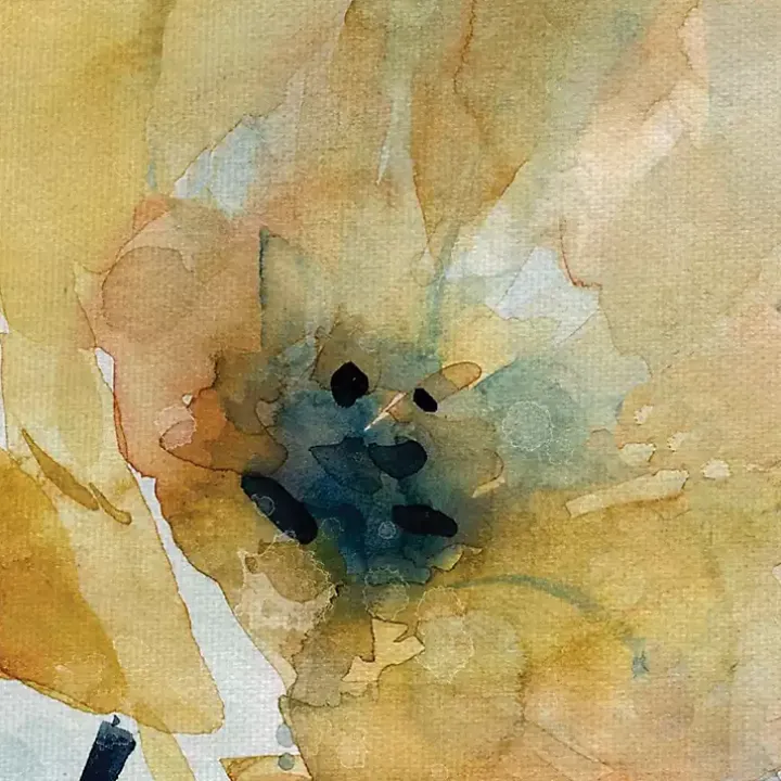 Holland Spring Blooms Canvas Art Prints, Set of 2