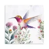 Hummingbird Wildflower II Canvas Art Print