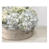 Hydrangea Cluster Canvas Art Print