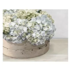 Hydrangea Cluster Canvas Art Print