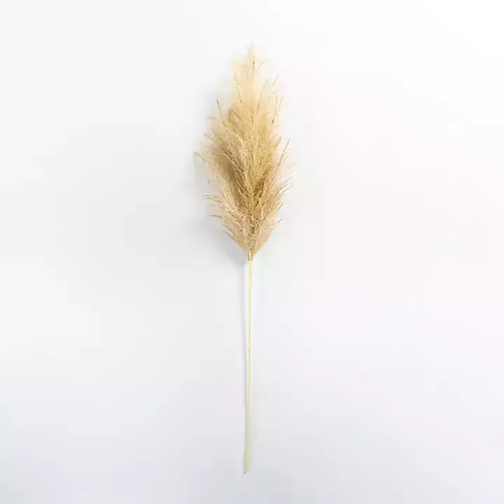 Iced Natural Pampas Grass Stem