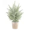 12 in. Potted Icy Pine Trees, Set of 6