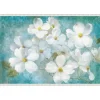 Indiness Blossom Framed Canvas Art Print