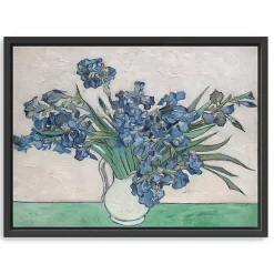 Irises II Framed Canvas Art Print, 42x32 in.