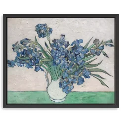 Irises II Framed Canvas Art Print, 22x18 in.