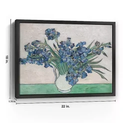 Irises II Framed Canvas Art Print, 22x18 in.