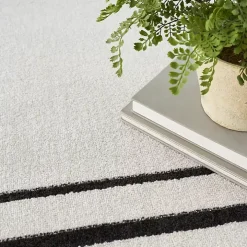 Ivory Bordered Indoor/Outdoor Area Rug, 5x7