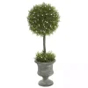 Juniper Ball Tree in Pedestal Urn