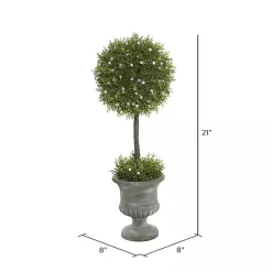 Juniper Ball Tree in Pedestal Urn