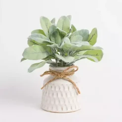 Lamb's Ear Arrangement in White Vase