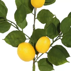 Lemon Leaf Spray Stems, Set of 4