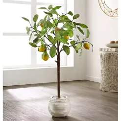Lemon Tree in White Pot