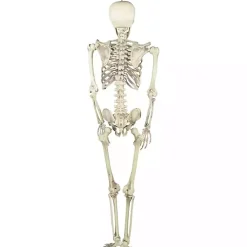 Life Size Outdoor Skeleton Decoration