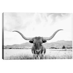Longhorn Giclee Canvas Art Print