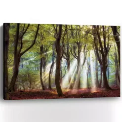 Majestic Morning Giclee Canvas Art Print