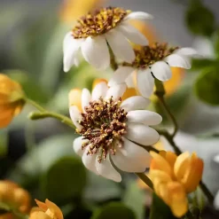 Marigold and Daisy Garland