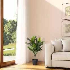 Mini Fiddle Leaf Fig Tree in Black Pot