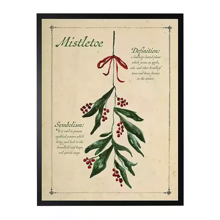 Mistletoe Definition Framed Christmas Art Print