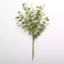 Natural Green Eucalyptus Bundle