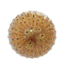 Natural Shades Ceramic 4-pc. Orb Filler Set