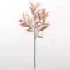 Neutral Willow Eucalyptus Stem