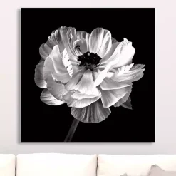 Noir Ranunculus Floral Giclee Canvas Art Print