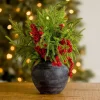 Norfolk Pine and Red Berry Arrangement