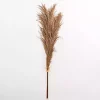 Nutmeg Pampas Grass Bundle