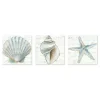 Ocean Treasures Canvas Art Prints, Set of 3