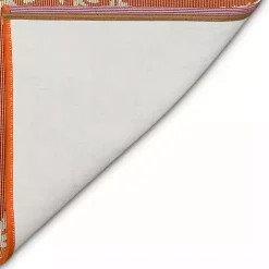 Orange Coral Indoor/Outdoor Runner, 1x4