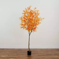 Orange Maple Tree in Black Planter, 7 ft.