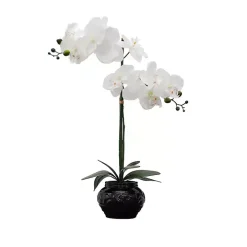 Orchid Arrangement in Black Floral Planter