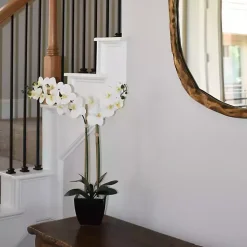 Orchid Arrangement in Black Pot