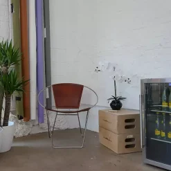 Orchid Arrangement in Black Floral Planter