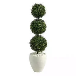 Outdoor Ball Boxwood Topiary in White Planter