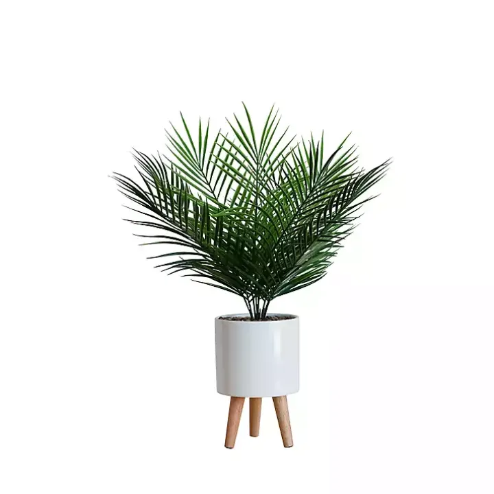 Palm Arrangement in White Footed Pot
