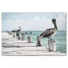 Perched Pelican Canvas Art Print