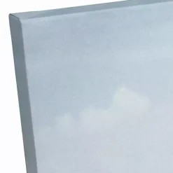 Perched Pelican Canvas Art Print